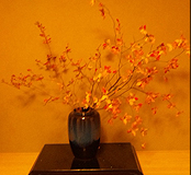 �������C���[�W